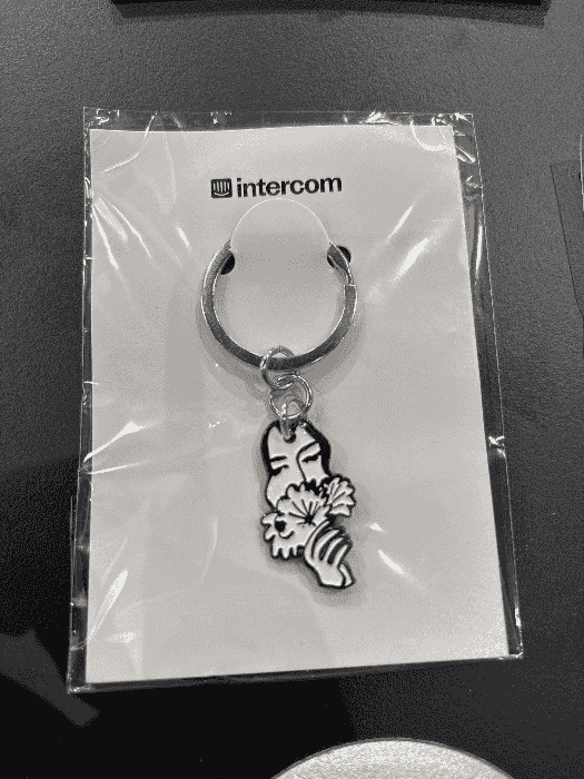 Fin.ai Keyring