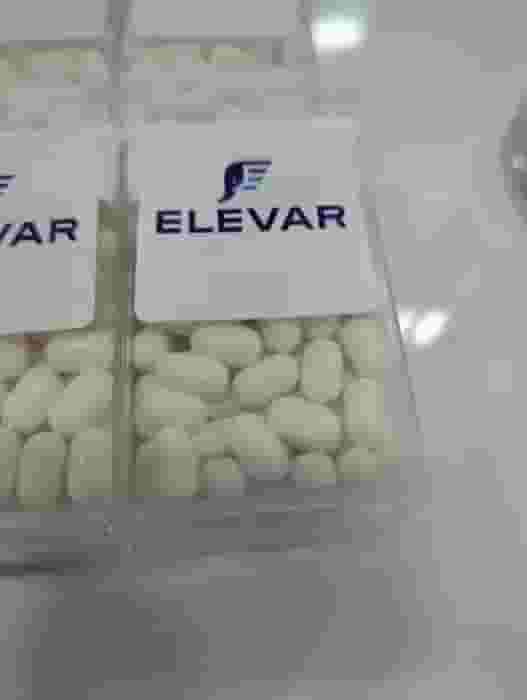 Elevar Tic Tac