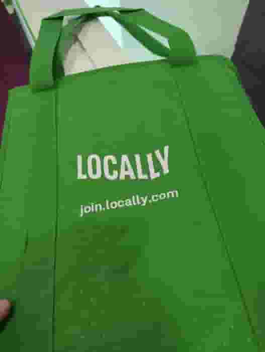 Locally Insulated Grocery Bag