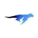 This is a test domain