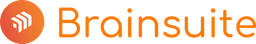 Brainsuite.ai GmbH